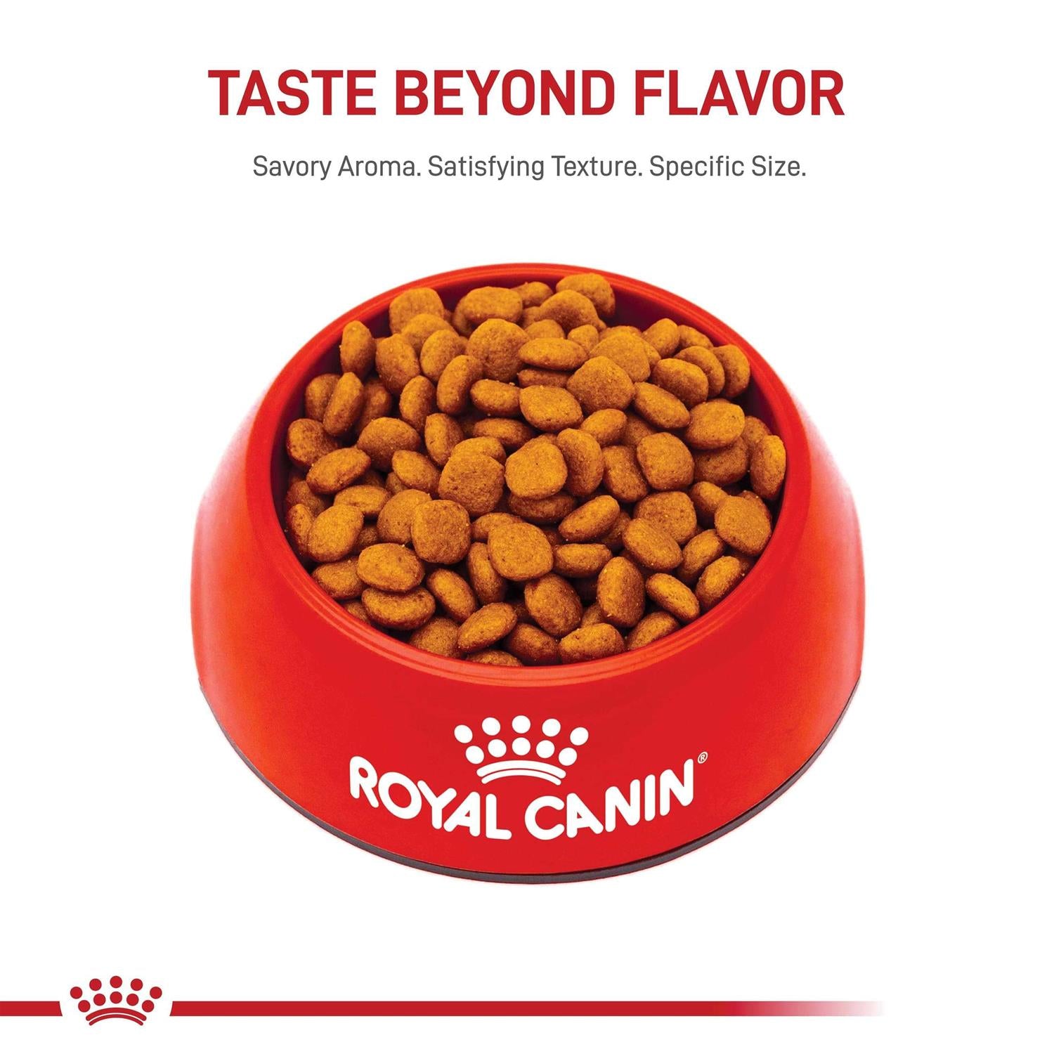 Adult Cavalier King Charles Dry Dog Food K900972