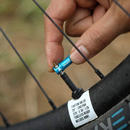 Alloy Tire Valve Cap and Presta Valve Stem Set R658478