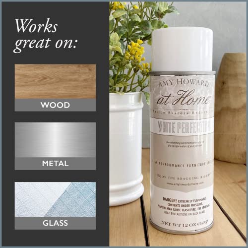 12 OZ High Gloss Spray Lacquer D41051