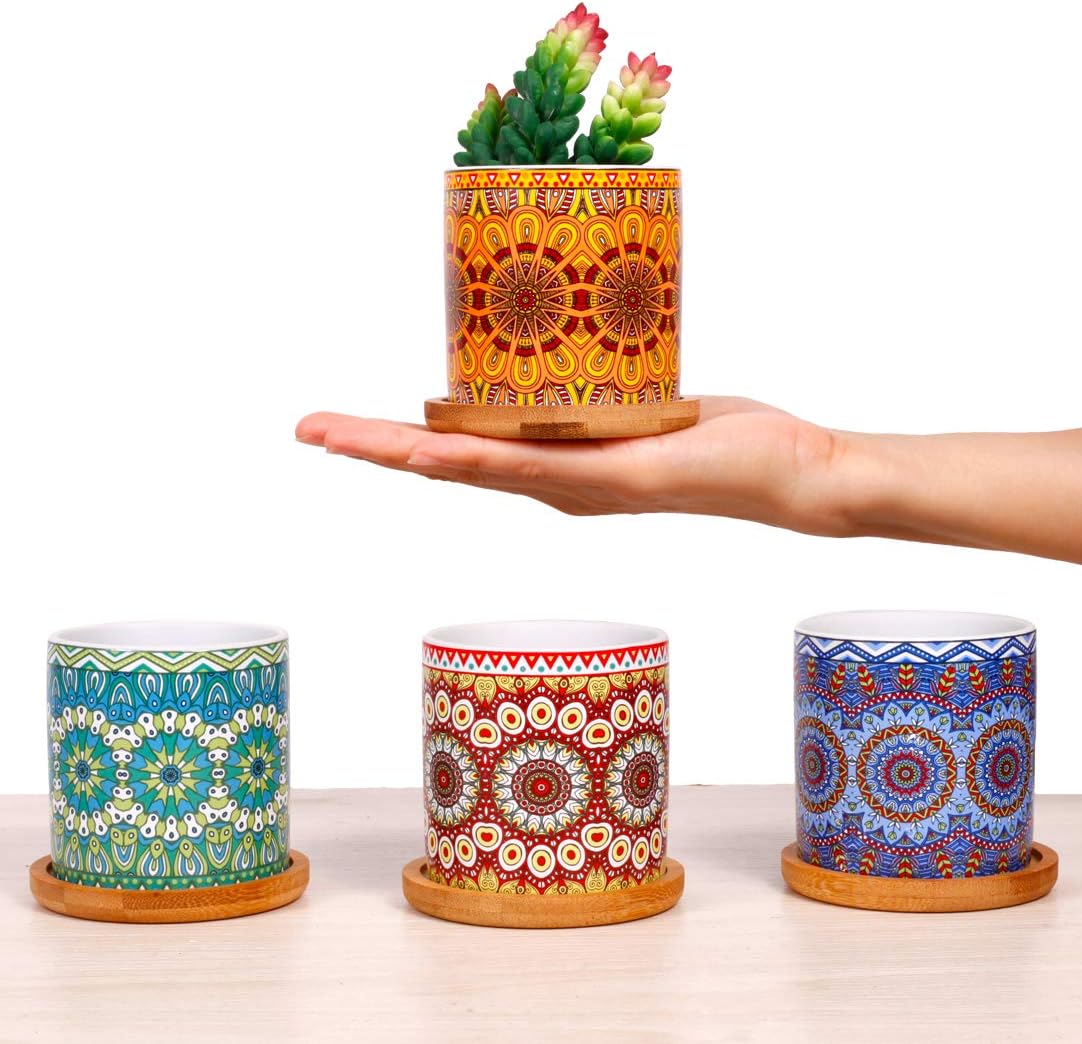 4 pcs 3.0 inches Ceramic Succulent Planters with Bamboo Trays X822