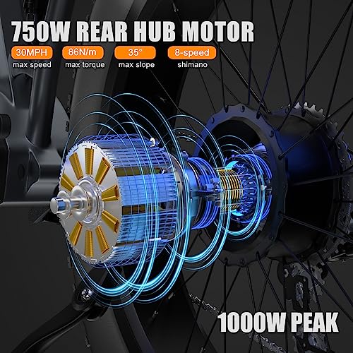 1000W 48V 30AH 26''x4.0 Inch Fat Tire Full Suspension Electric Bike I905194