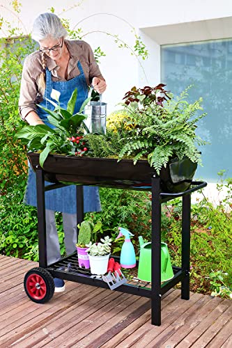 Metal Raised Planter Box on Wheels with Gardening Kit B381099
