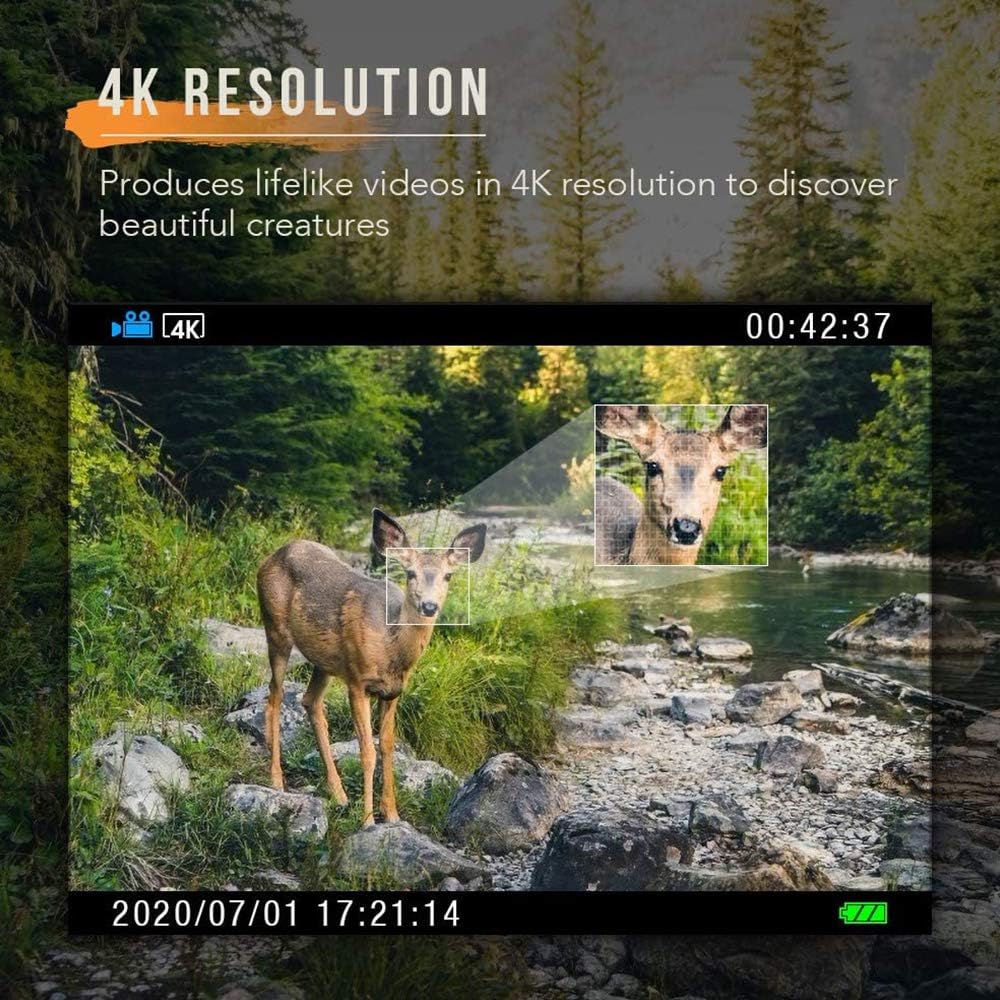 4K 20MP Night Vision 120° Wide Angle Hunting Camera with Solar Panel and 32GB Card T522780
