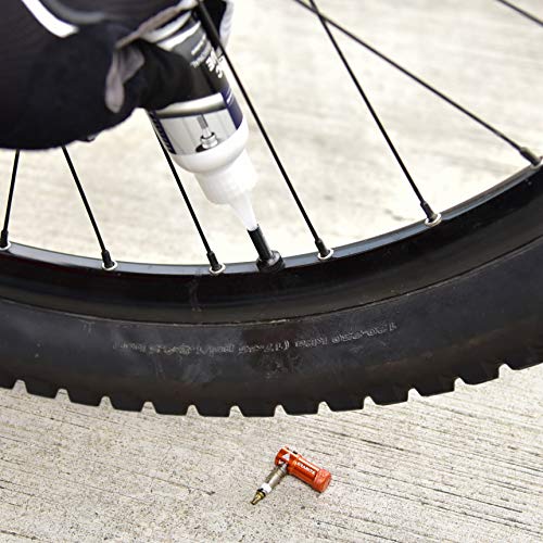 Alloy Tire Valve Cap and Presta Valve Stem Set R658478
