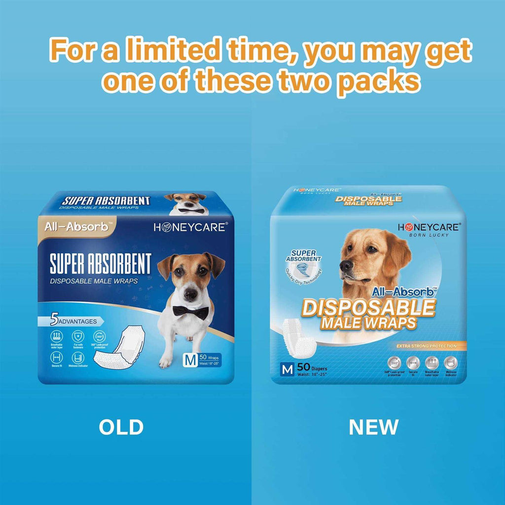 Male Dog Wrap X915694