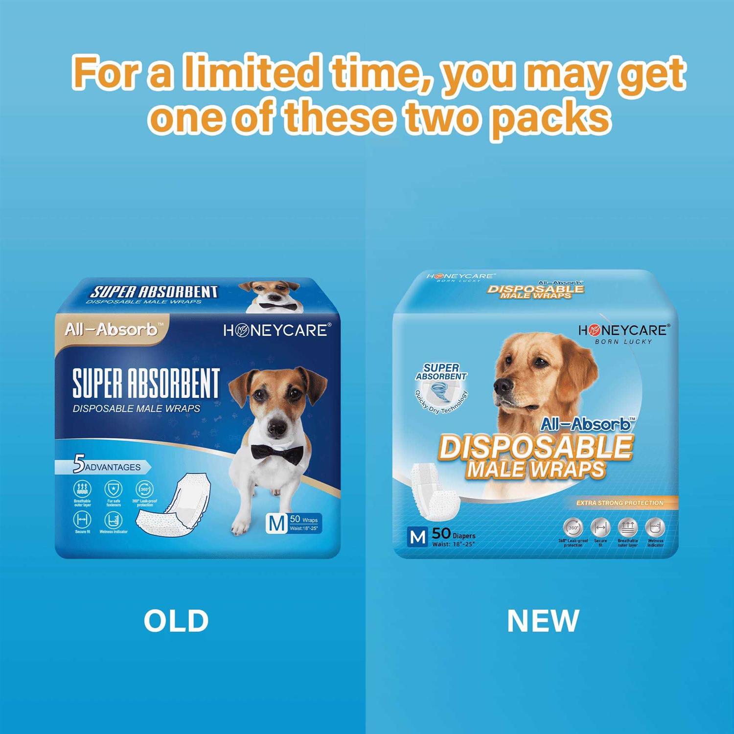 Male Dog Wrap X915694