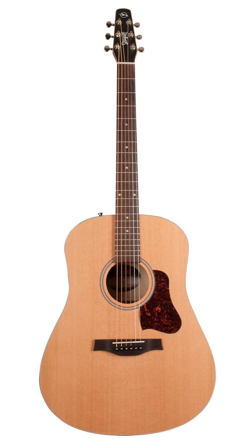 Slim Acoustic Guitar R610