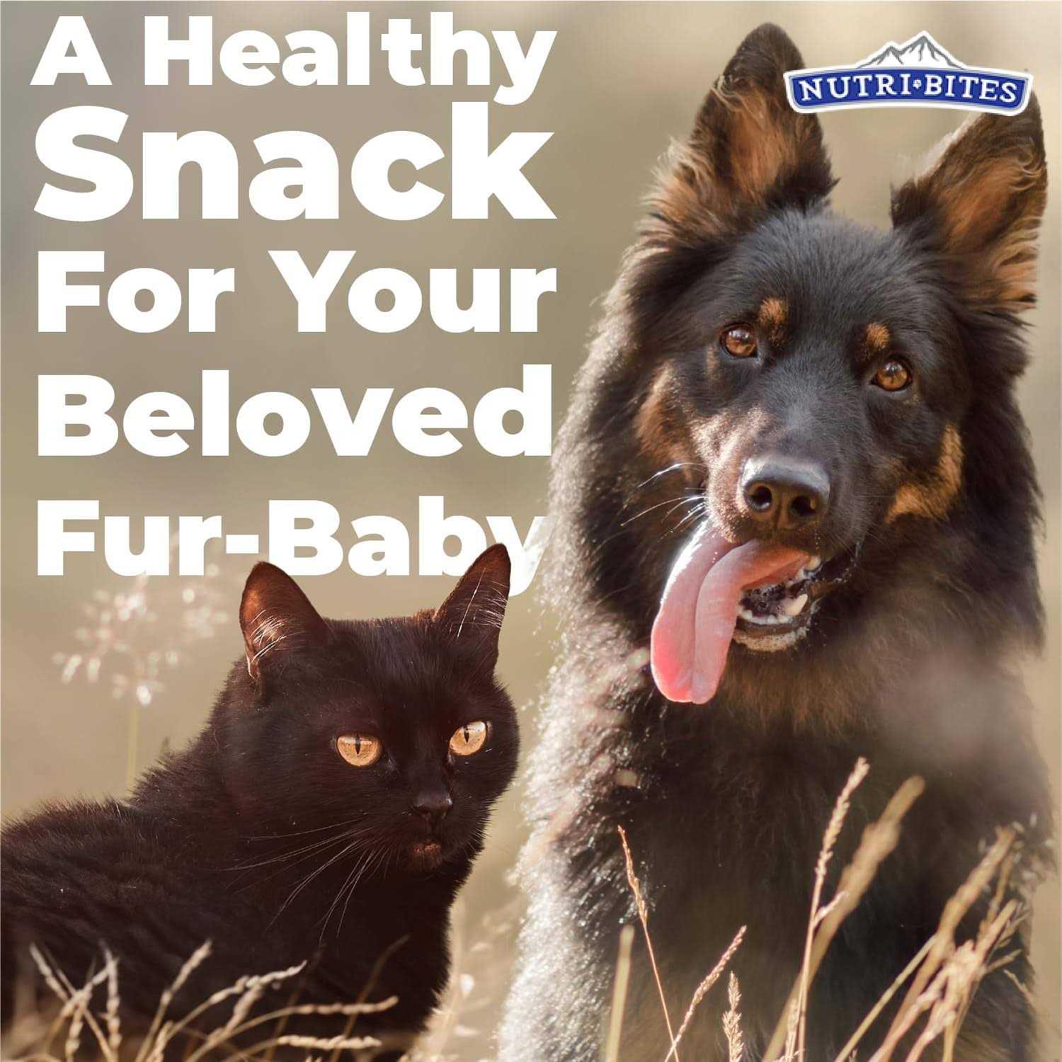 Freeze Dried Beef Liver Dog & Cat Treats T22202