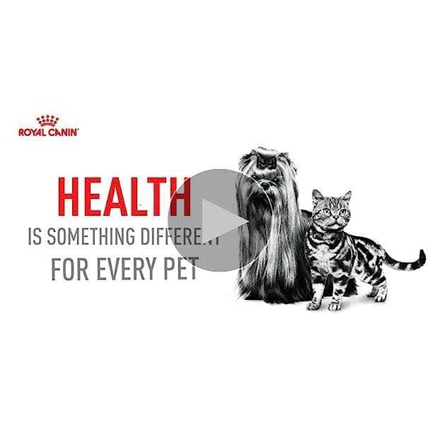 Ragdoll Adult Cat Food Q250610