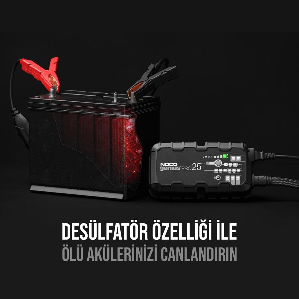 25-Amp 6V 12V 24V Battery Charger S752