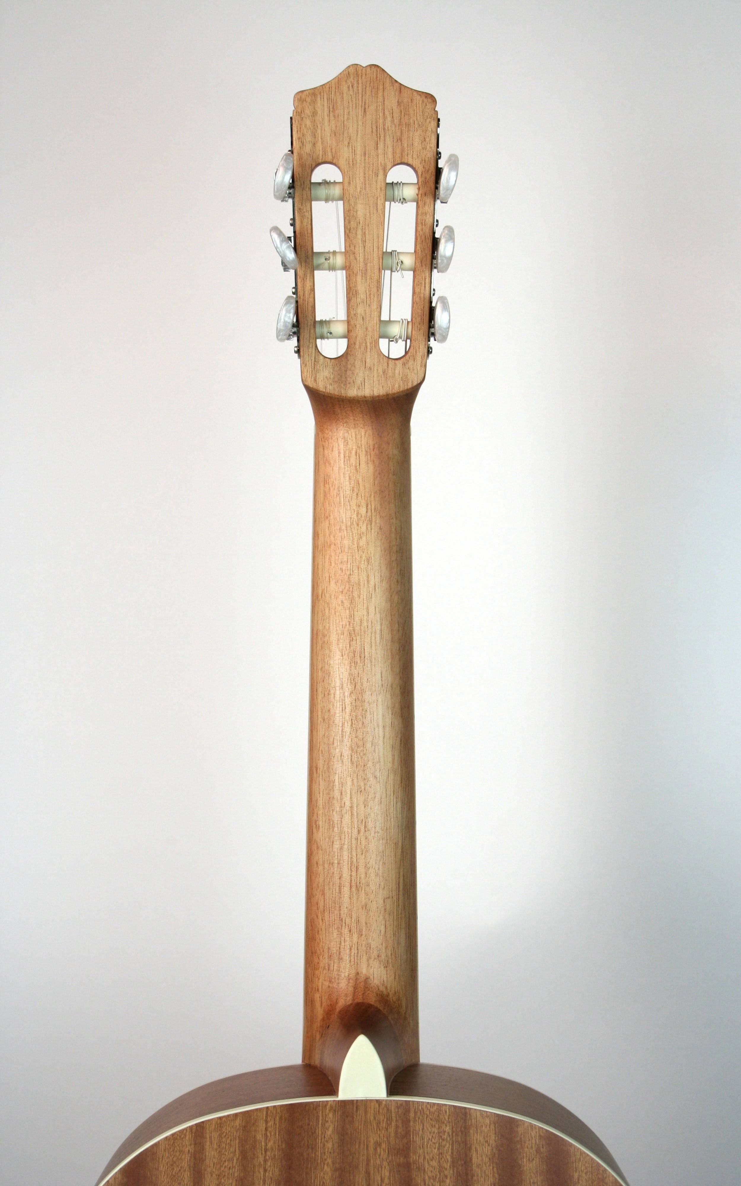 Coral Classical Guitar V3559