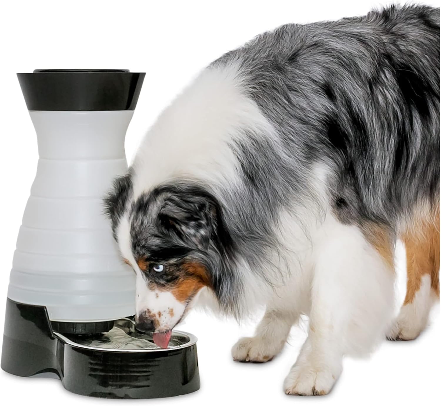 320 oz Capacity Stainless Steel Pet Water Fountain N890