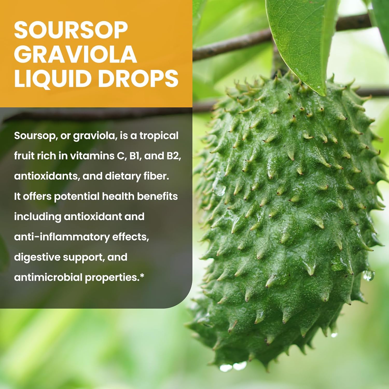 Soursop Graviola Liquid Drops 1500mg with Green Tea, Black Seed Oil, Turmeric 2 Fl Oz C835719