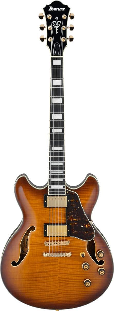 Violin Sunburst Semi-Hollow Body Electric Guitar C622