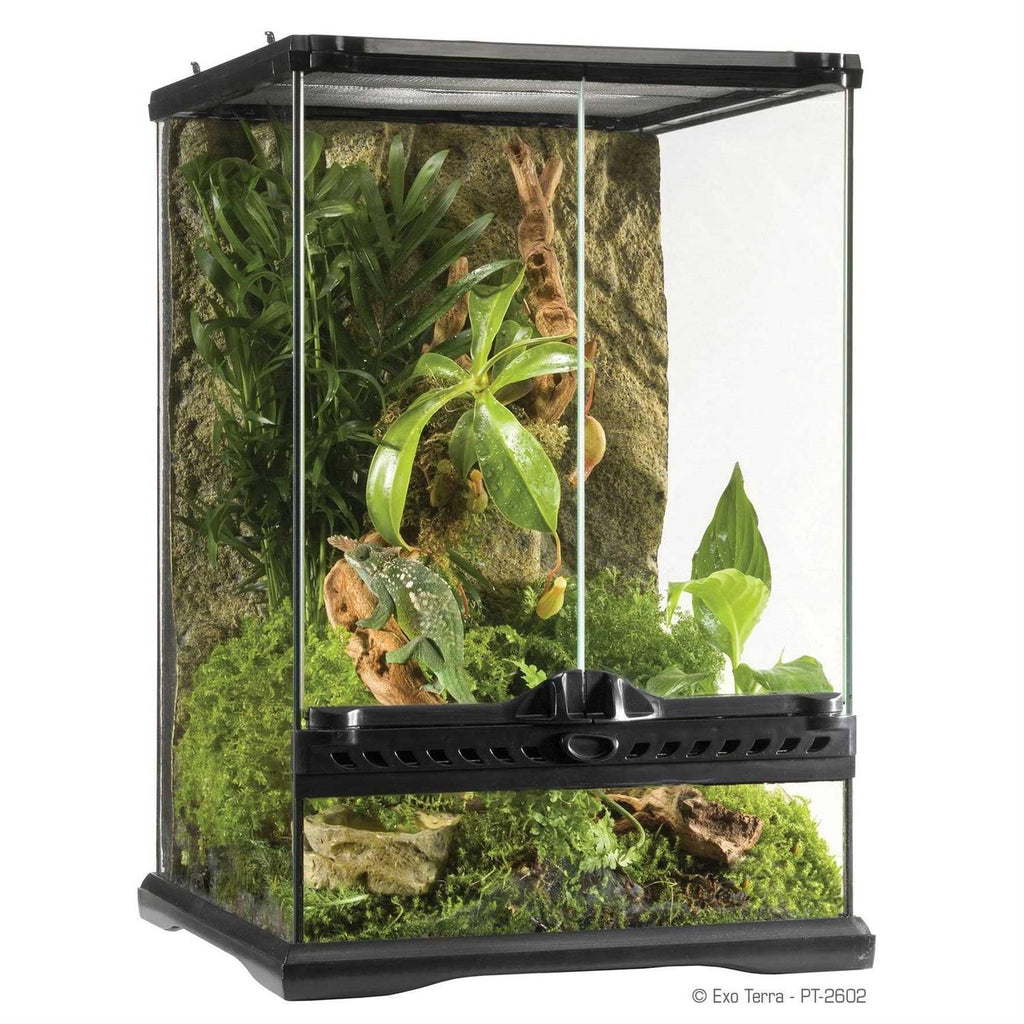 Glass Terrarium W448839