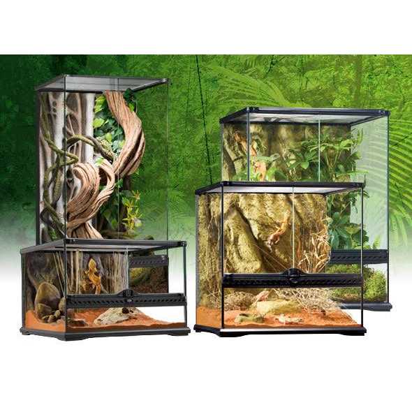 Glass Terrarium W448839