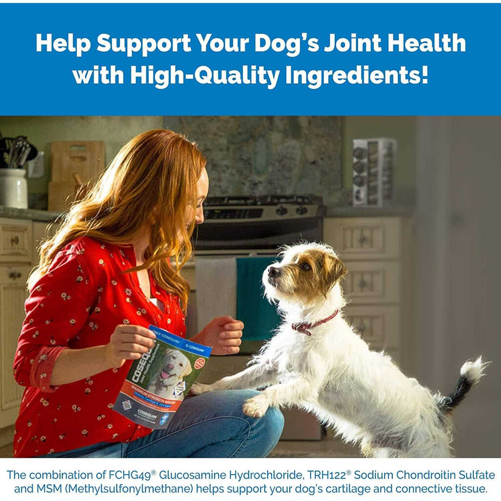 Chewable Tablets for Dogs A269