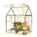 Large Tall Glass Terrarium with Lid M5094