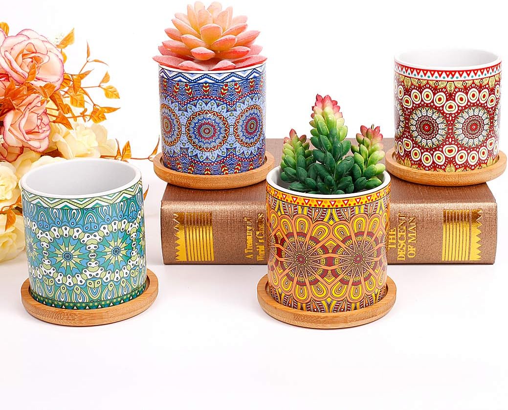 4 pcs 3.0 inches Ceramic Succulent Planters with Bamboo Trays X822