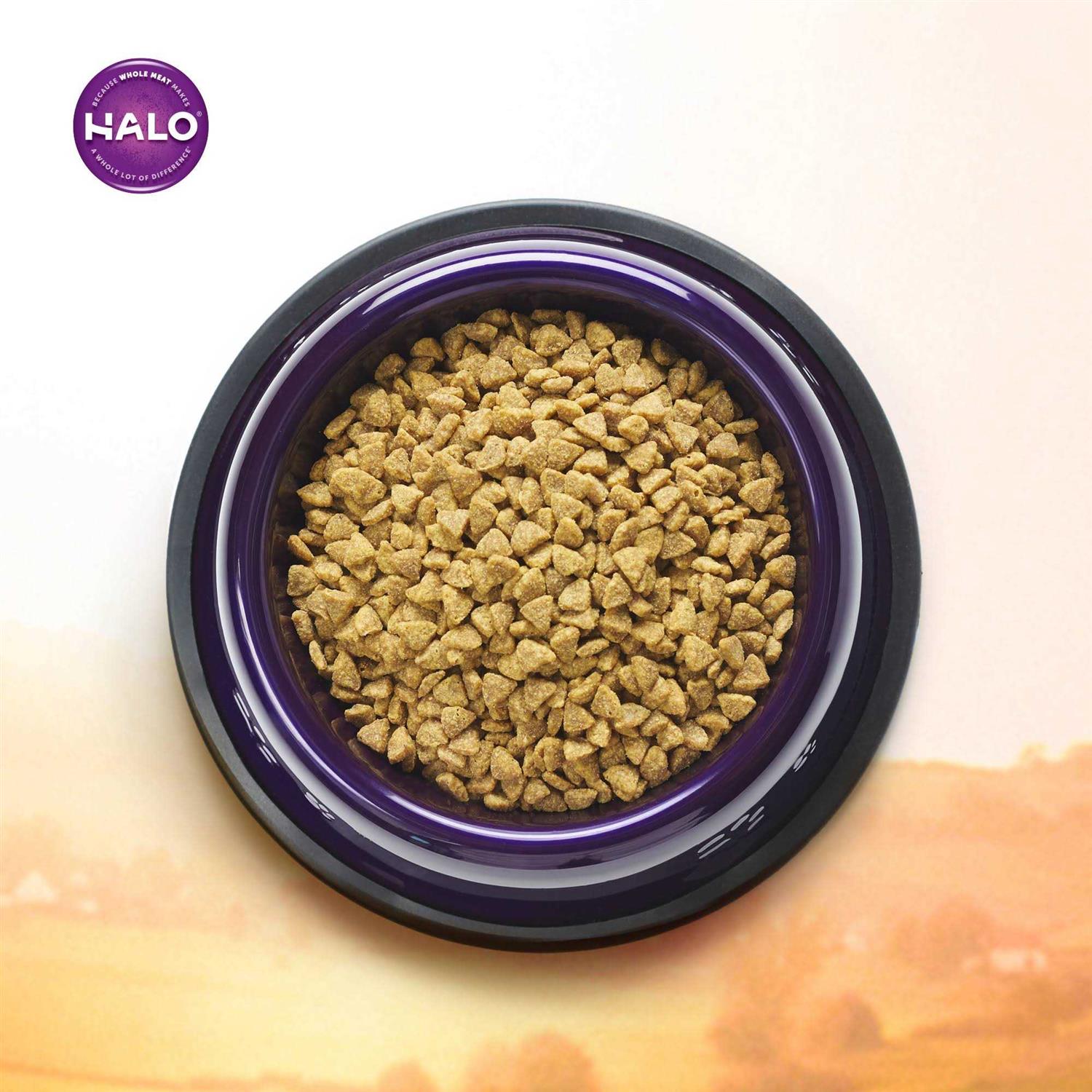 Chicken & Chicken Liver Recipe Grain-Free Dry Cat Food E3957