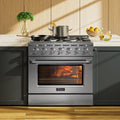 36 in. 5.2 cu. ft. Single Oven Gas Range with 6 Sealed Burners and Continuous Grates in Stainless Steel G664652