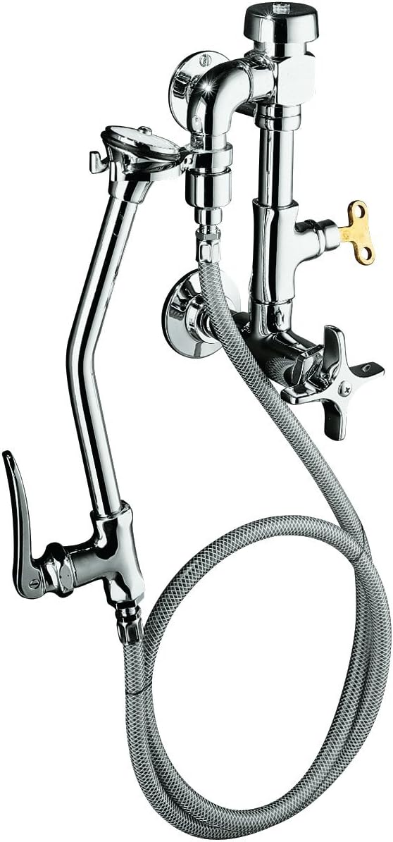 Polished Chrome Bedpan Washer H8100