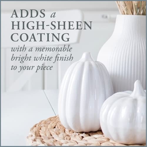 12 OZ High Gloss Spray Lacquer D41051