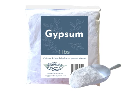 1 lb Natural Mineral Calcium Sulfate Dihydrate Powder K253448