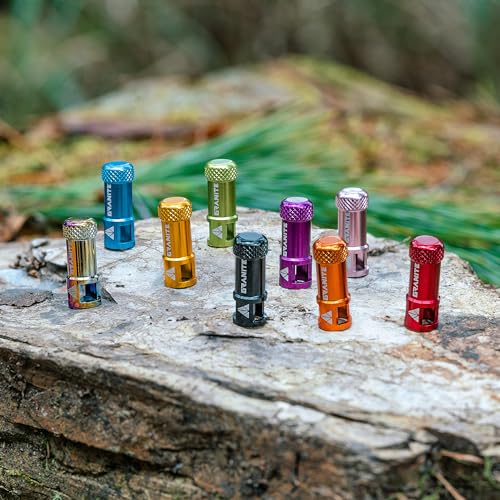 Alloy Tire Valve Cap and Presta Valve Stem Set R658478