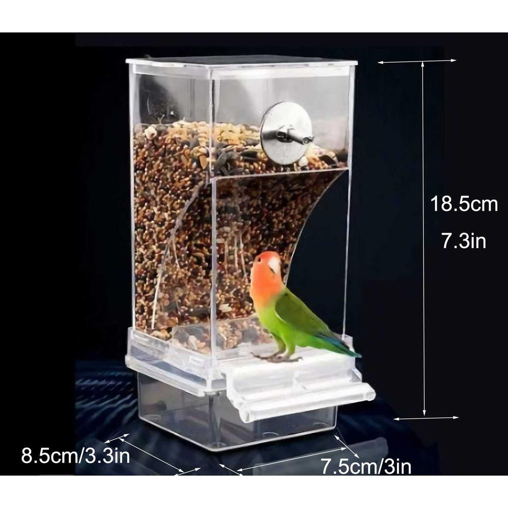 Automatic Bird Feeder J47779