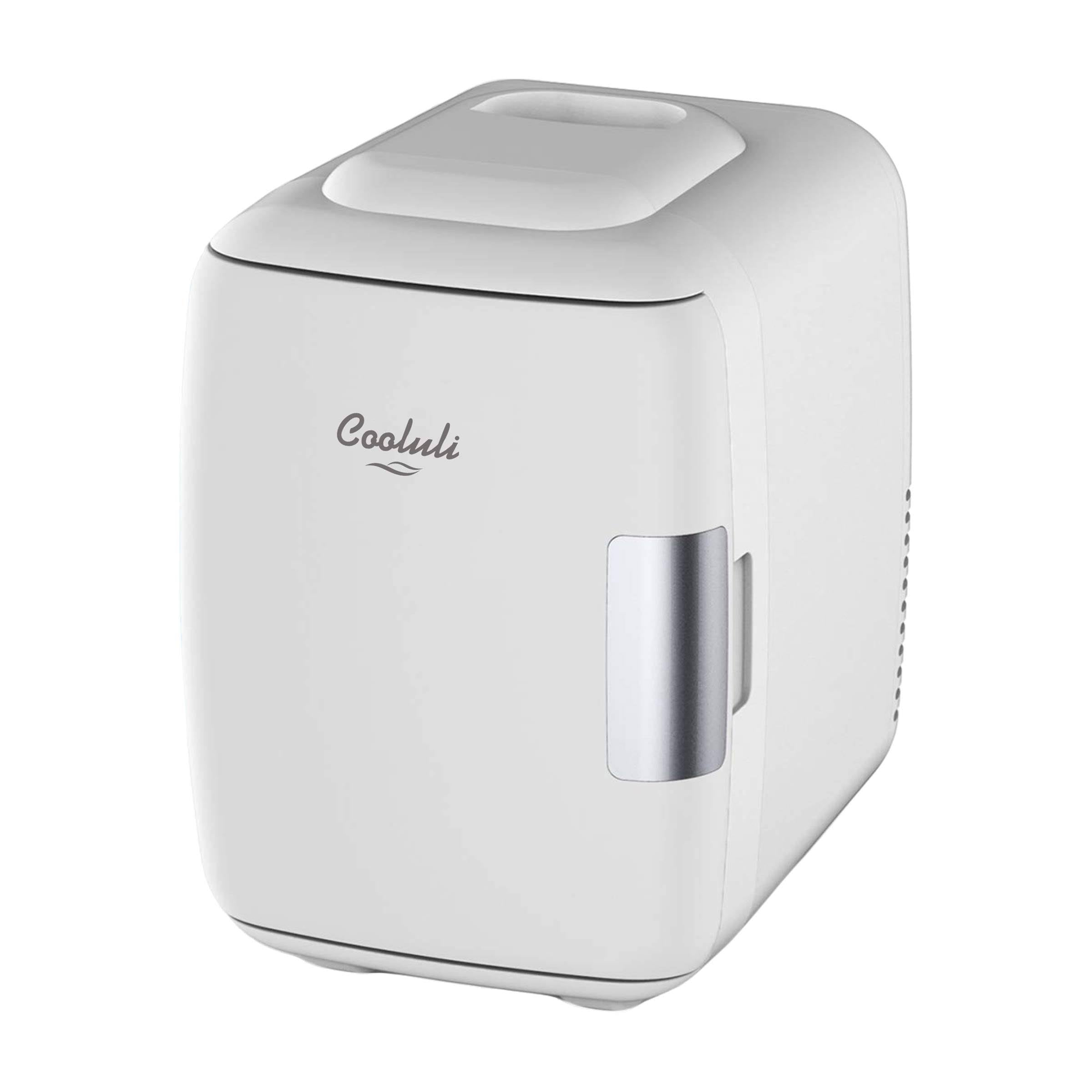 Mini Fridge Electric Cooler and Warmer 4 Liter 6 Can AC DC Portable I2559