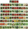 100 Assorted Heirloom Vegetable Seeds Non-GMO V153