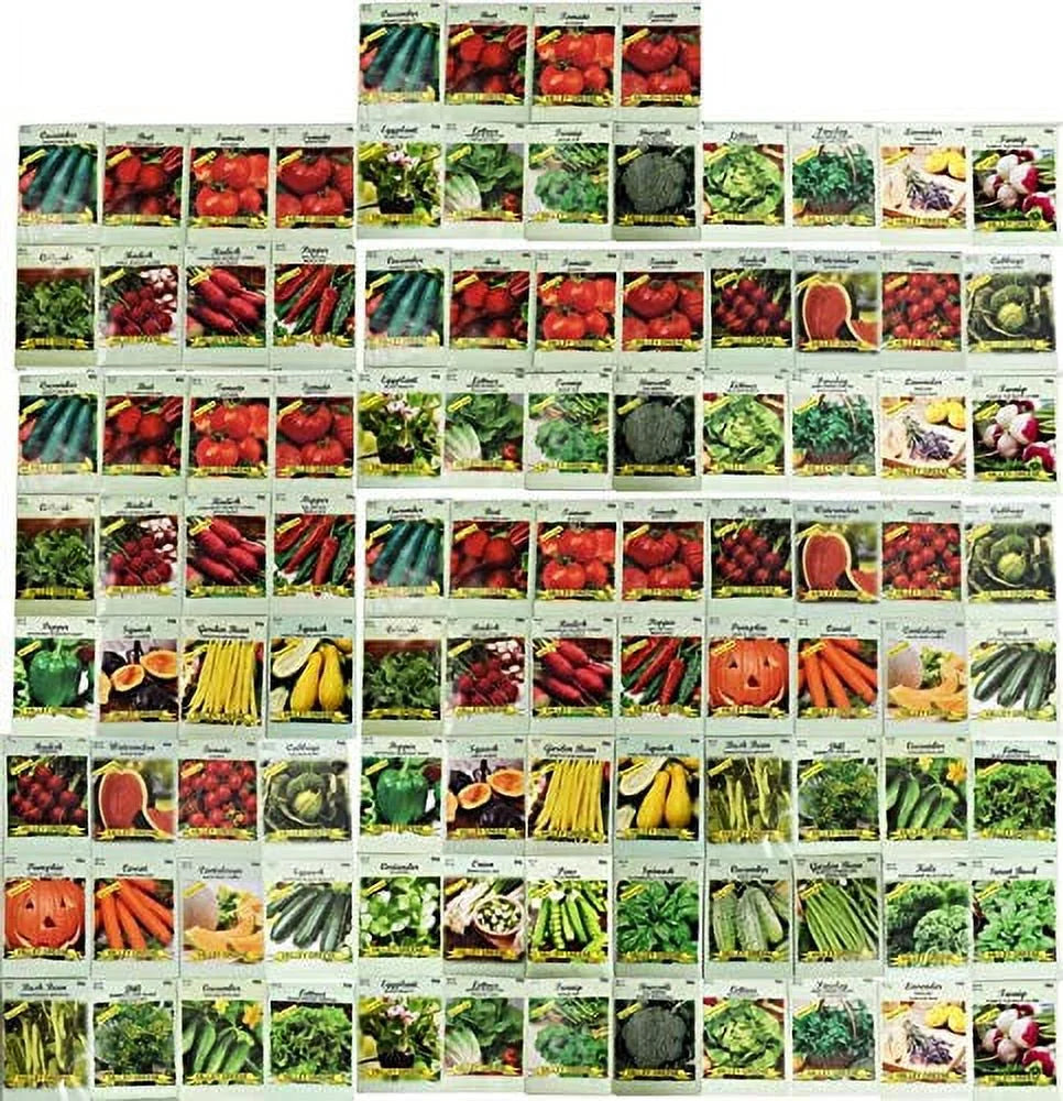 100 Assorted Heirloom Vegetable Seeds Non-GMO V153
