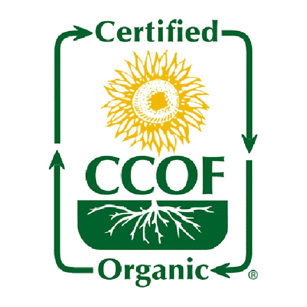 Organic Brown Sweet Rice C501