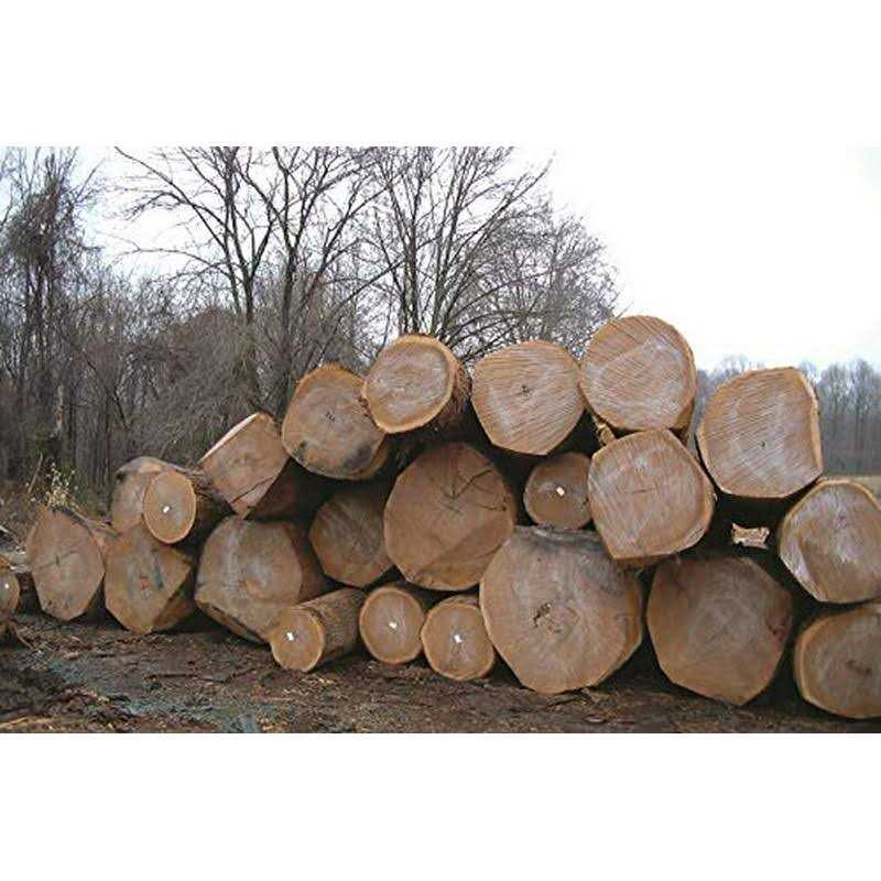 Water Based Wax Emulsion Log & Lumber End Sealer O3817