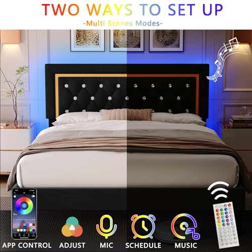Black Upholstered Platform Bed Frame with LED Light T688