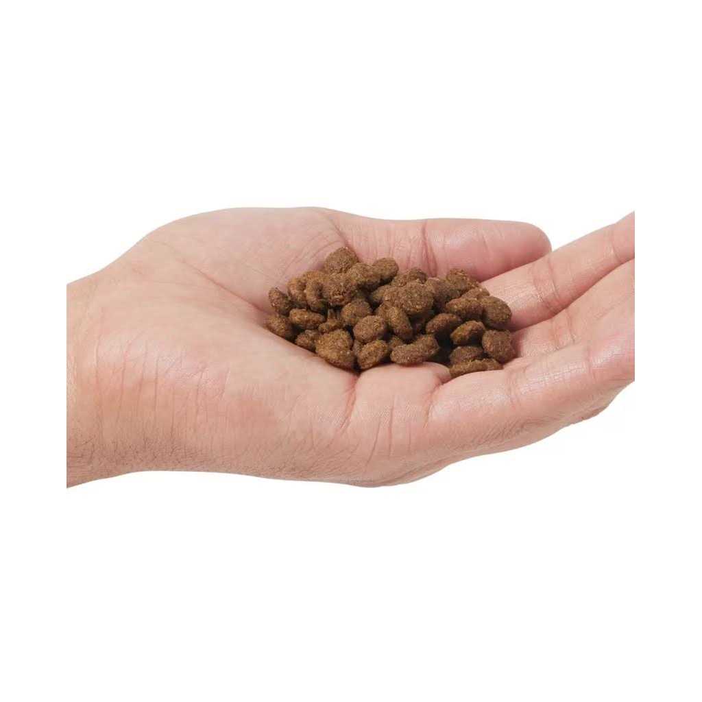 Grain Free Dry Cat Food A3933