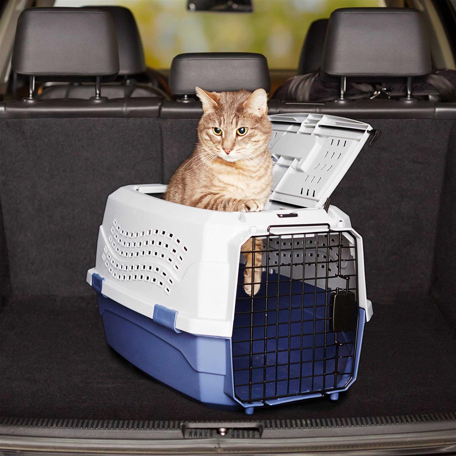 Two-Door Top-Load Hard-Sided Pet Travel Carrier W1051