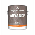 Advance Base Paint Interior 1 M253