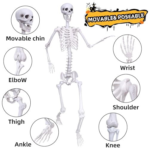 6Ft Posable Plastic Skeleton with 2PCS Black Crows H7620