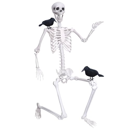 6Ft Posable Plastic Skeleton with 2PCS Black Crows H7620