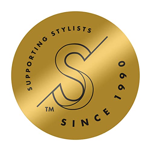 24K Gold One-Step Small Detachable Blowout Volumizer R299