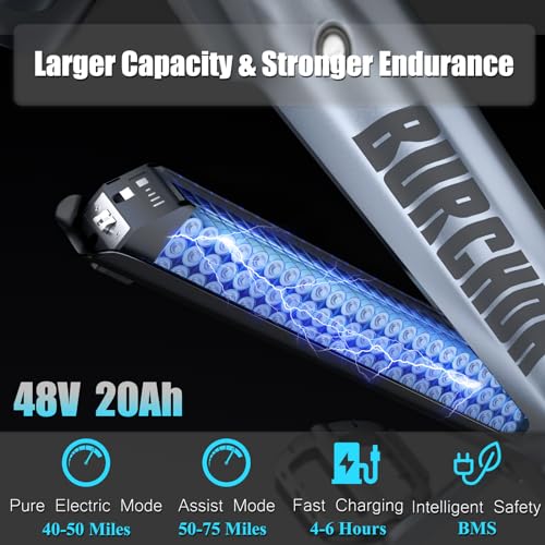 1000W 48V 30AH 26''x4.0 Inch Fat Tire Full Suspension Electric Bike I905194