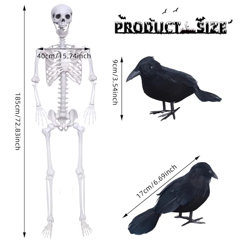 6Ft Posable Plastic Skeleton with 2PCS Black Crows H7620
