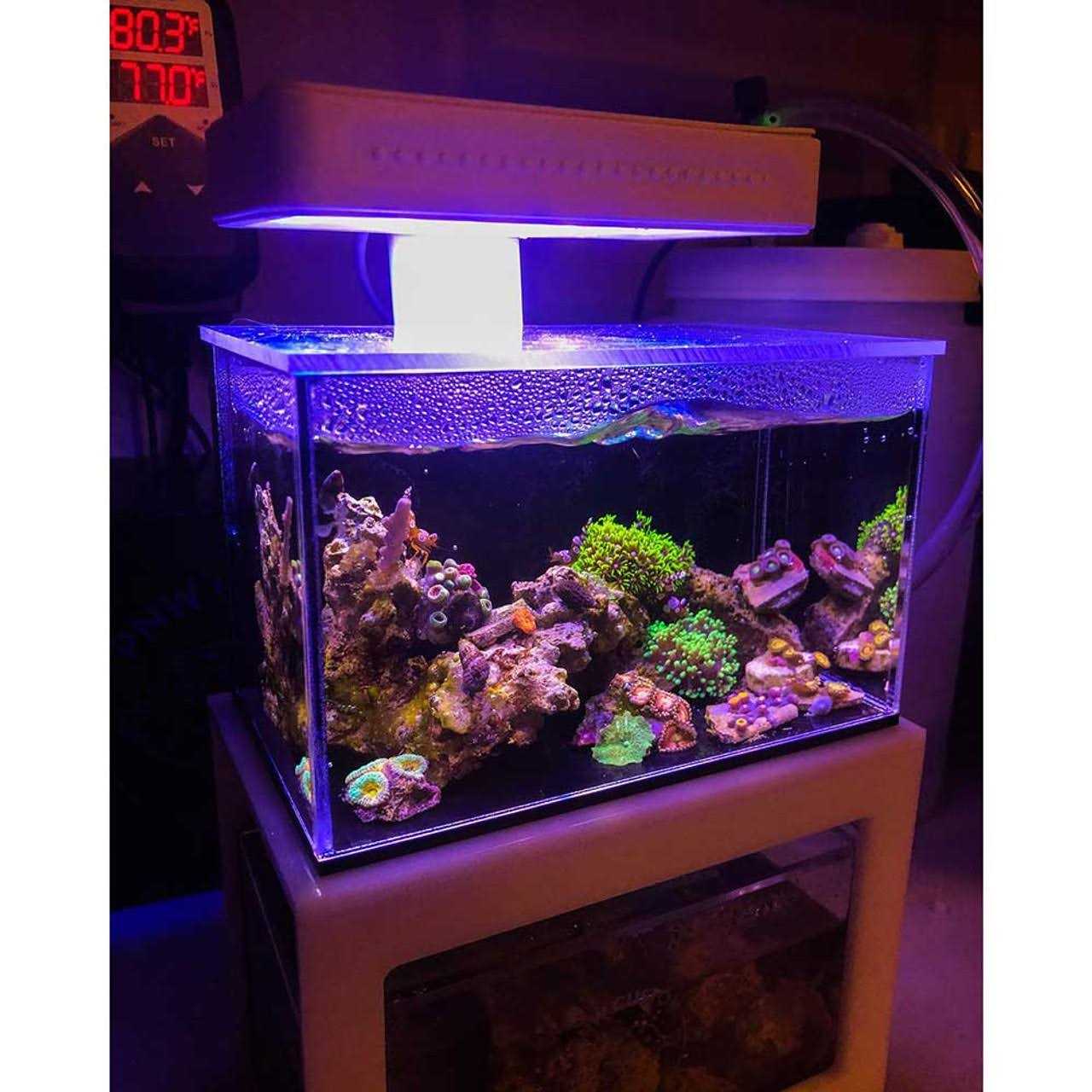 Desktop Aquarium E411