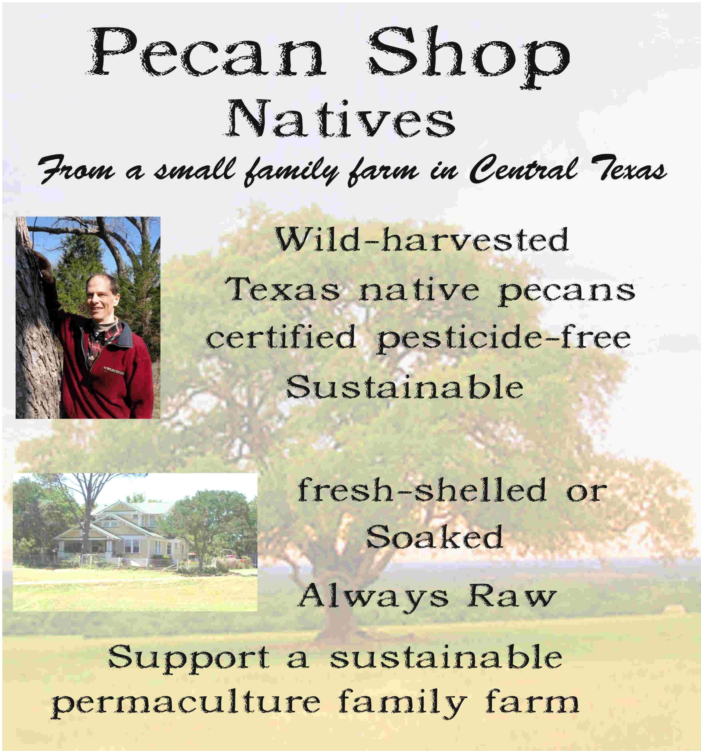 Pecan Halves, Unsprayed Raw Wild-Harvested 30 lb U890