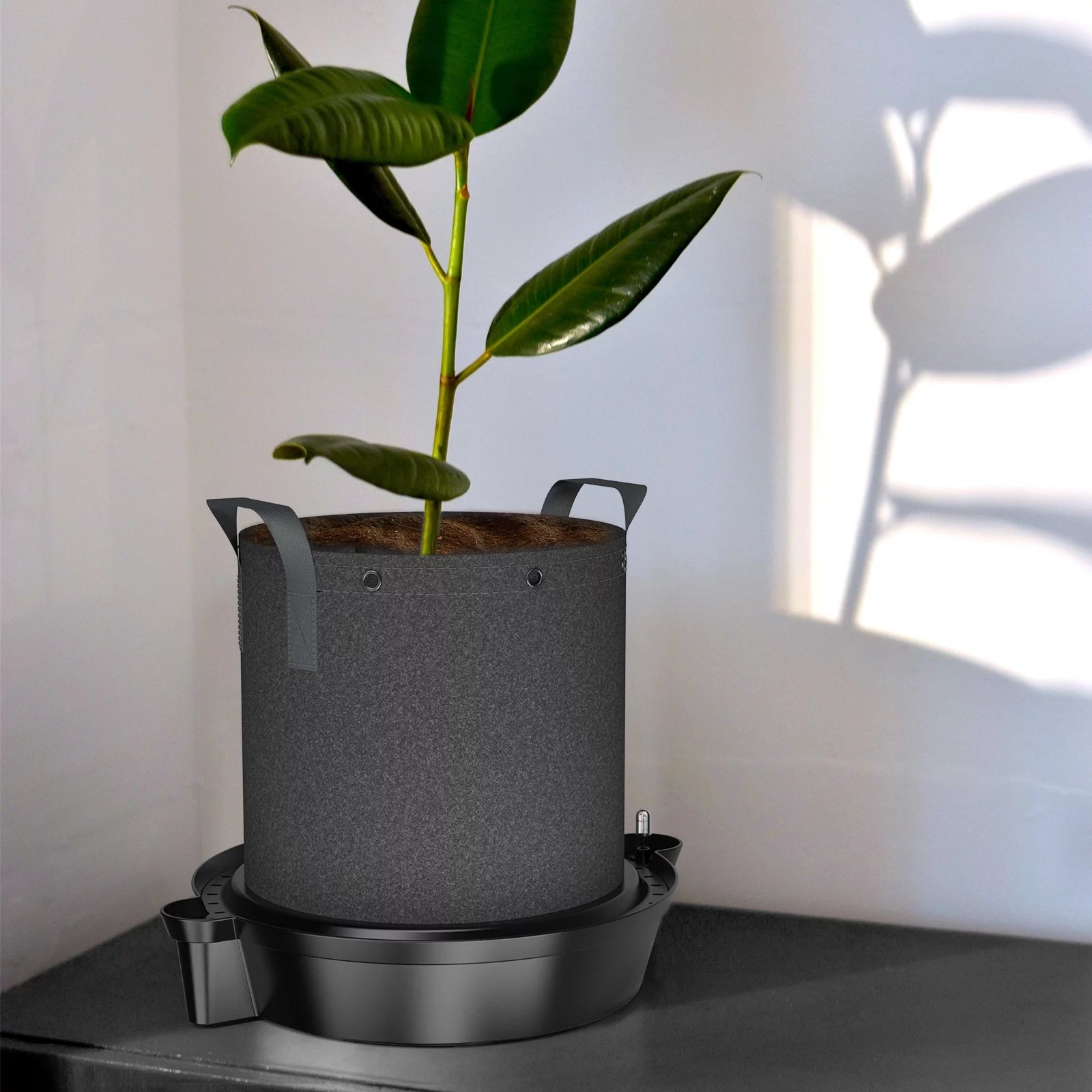 4-Pack Self-Watering Fabric Pot Base XL with Reservoir Meter W5941