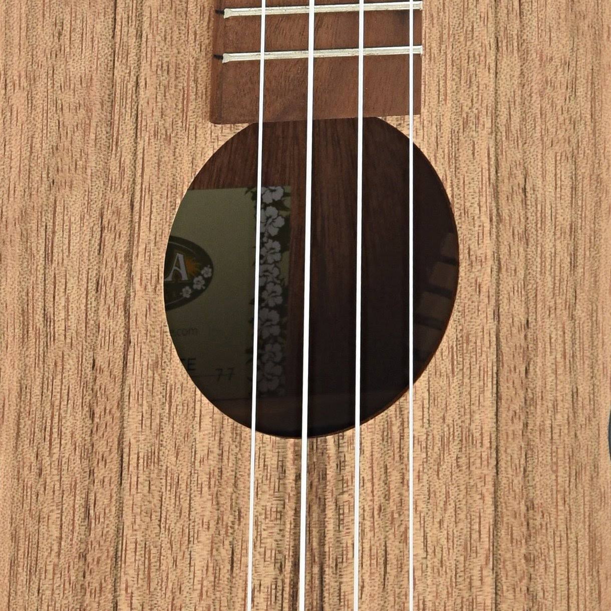 Pacific Walnut Tenor Electric Ukulele Z966