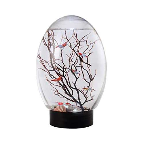Mini Ecological Fish Tank, Closed Aquatic Ecosphere Desktop Aquarium with Led Base P21565