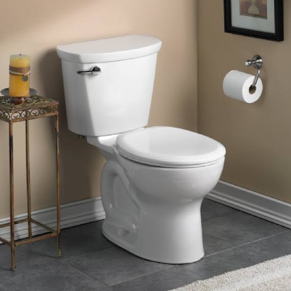 Bone Elongated Two-Piece Toilet C9049